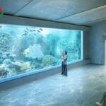 Basel City Aquarium