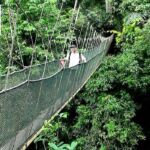 Introducing Sabah Island