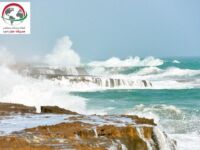 دریا زیبای ساحل کنارک