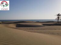 تلاقی کویر و دریا کنارک
