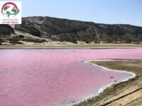 Pink Lake Beach